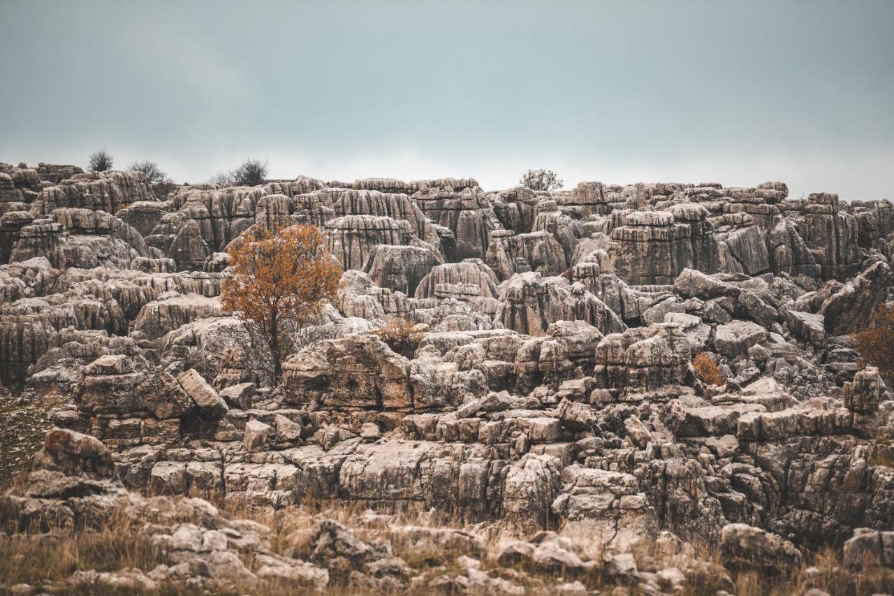 Odom Retreat Hotel Mzaar Kfardebian Bagian luar foto